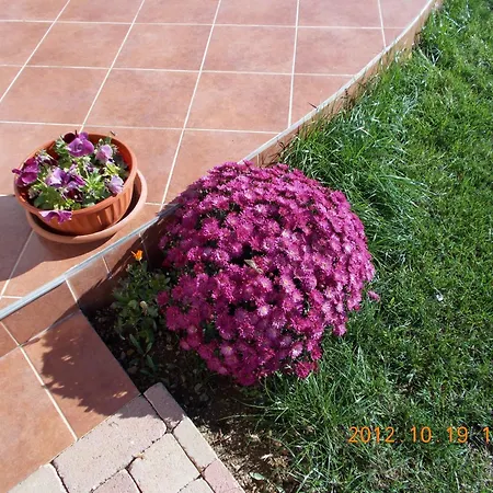 Hetkanyar Vendeghaz 4* Nagyvázsony