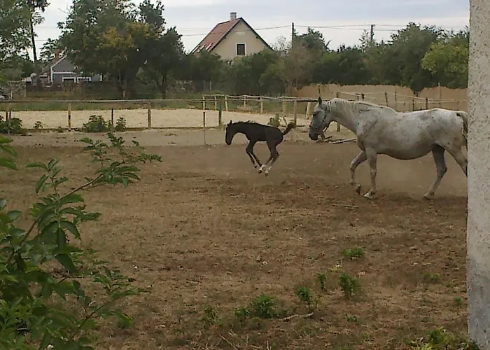 Hetkanyar Vendeghaz בית הארחה Nagyvázsony